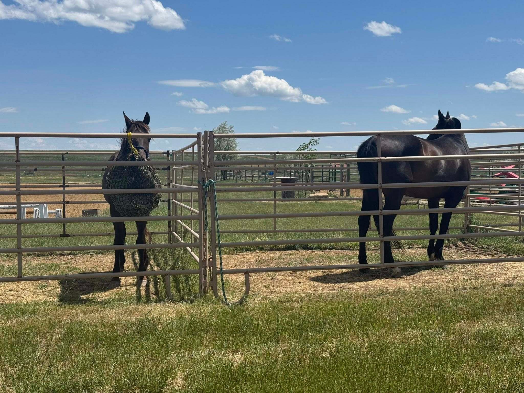 503923280_122114597852868613_523168841615330506_n