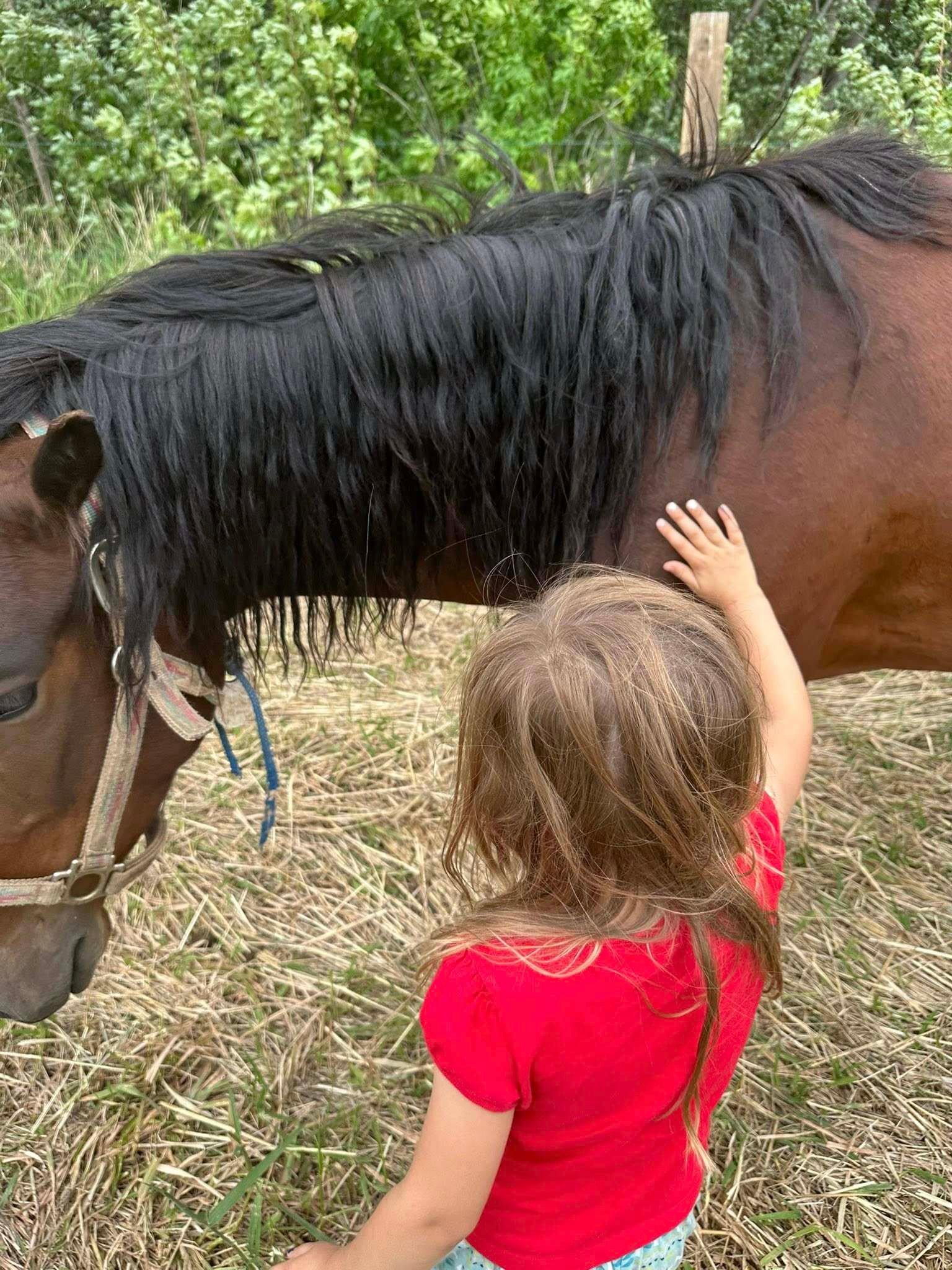 504988156_122182863692317095_1635171883773831692_n