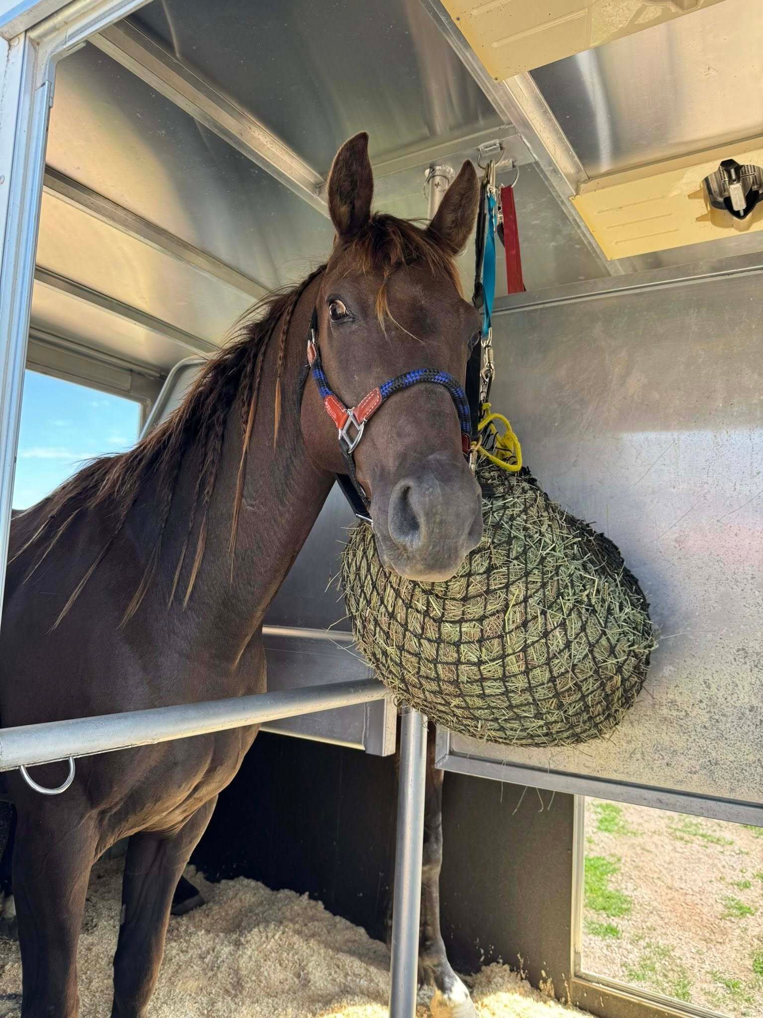 505134740_122114597822868613_3698085611878913039_n