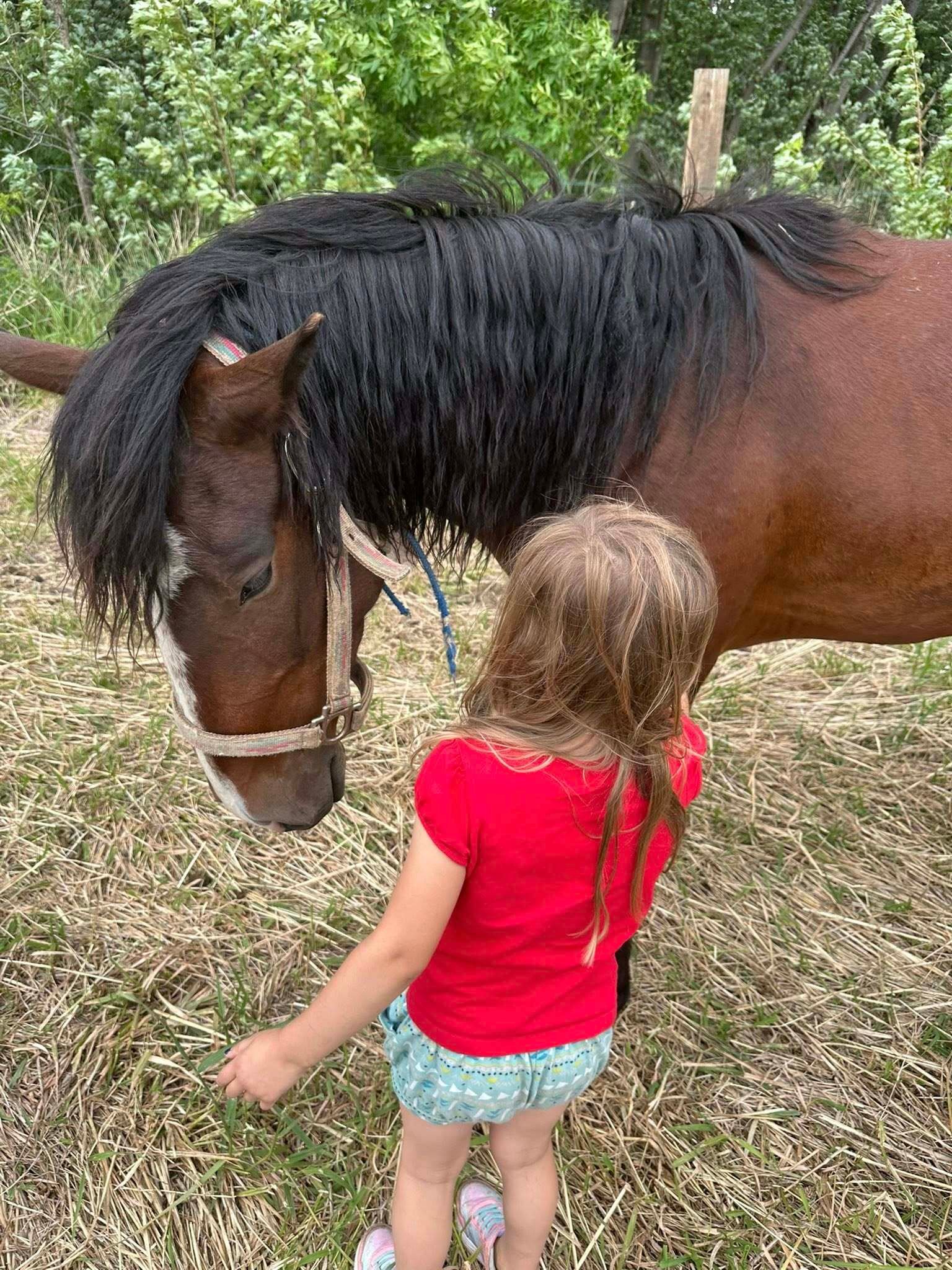 506488768_122182863710317095_1346438599695351783_n