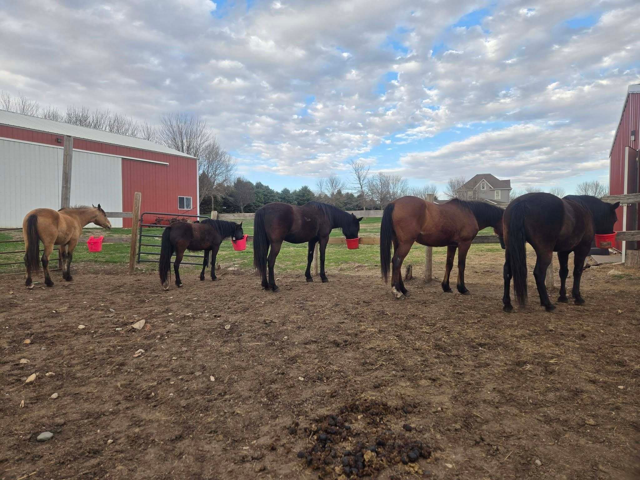 673698193_122103143318737534_3135887067522407372_n