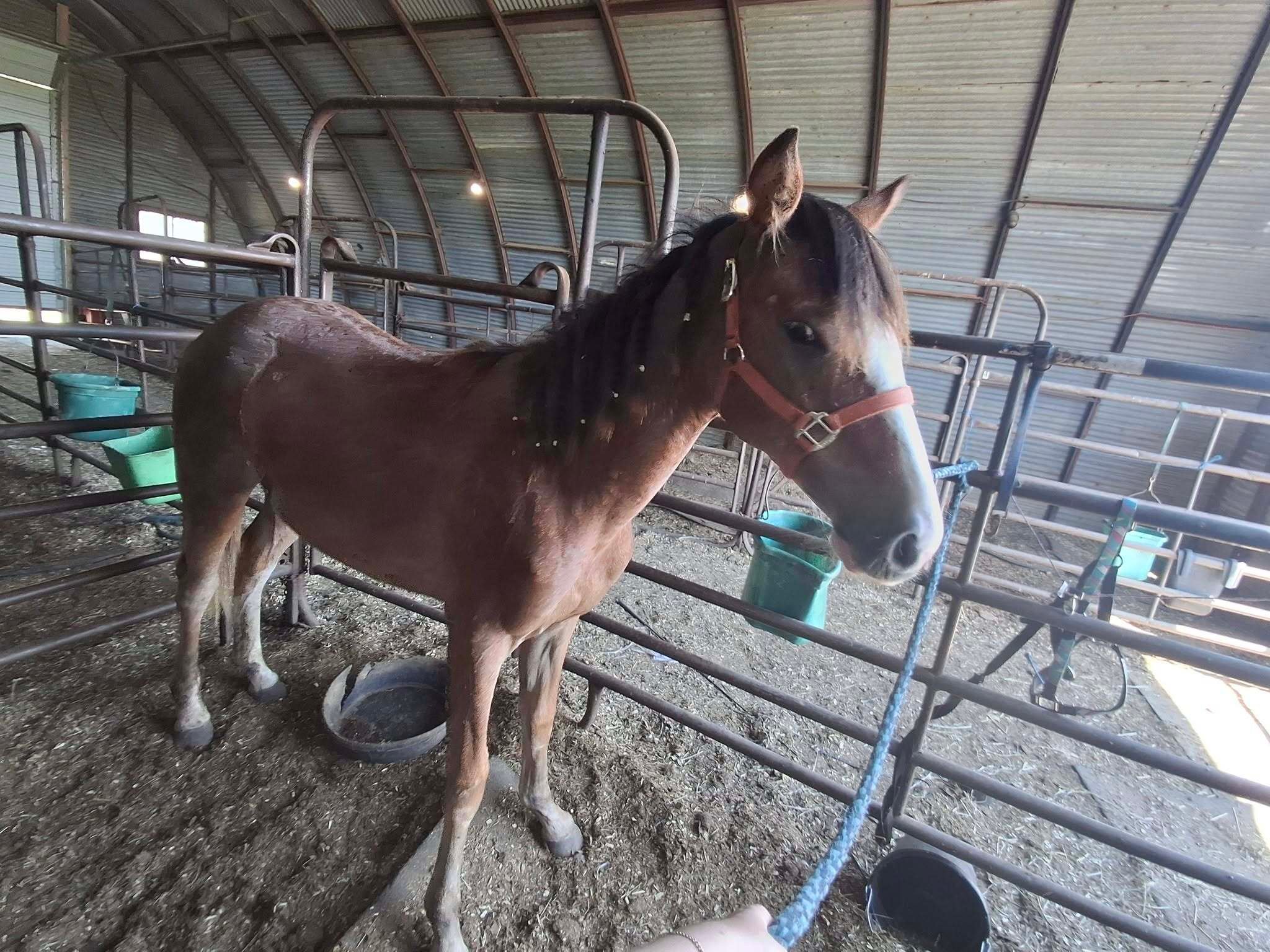 743992304_122128341039301184_1686535507142230169_n