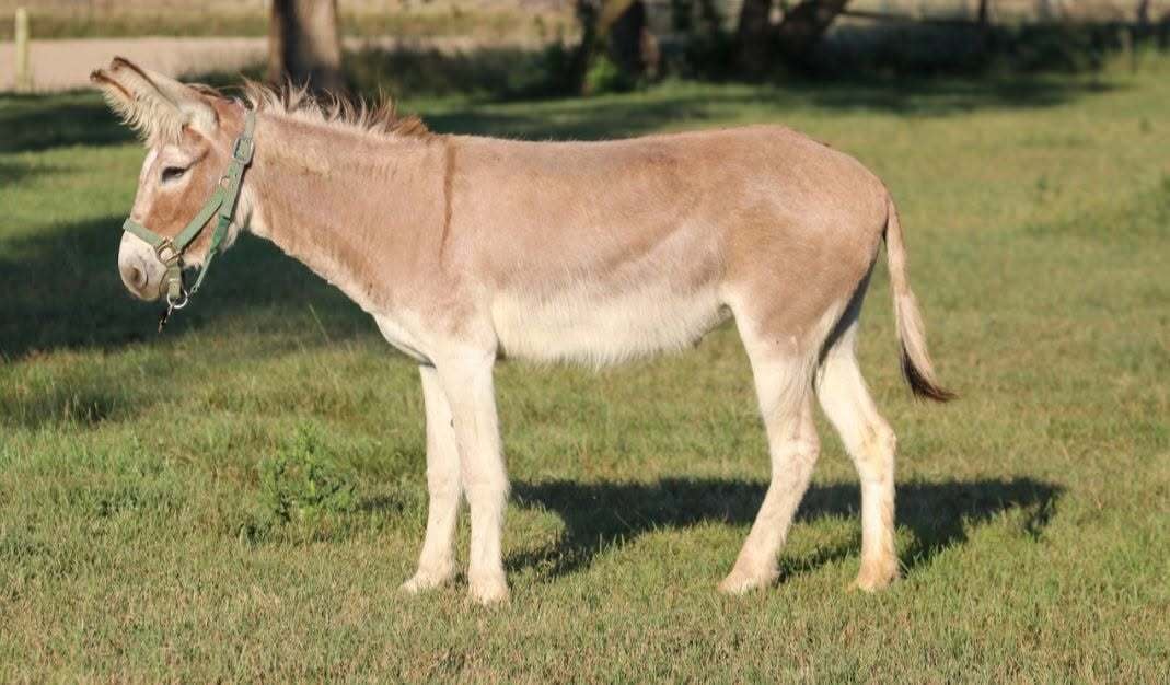772677319_122113593519300925_8680125000899785717_n