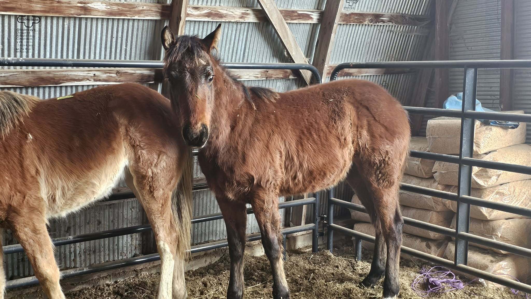 48305385-12cf-48b2-958c-611b365ca4e1