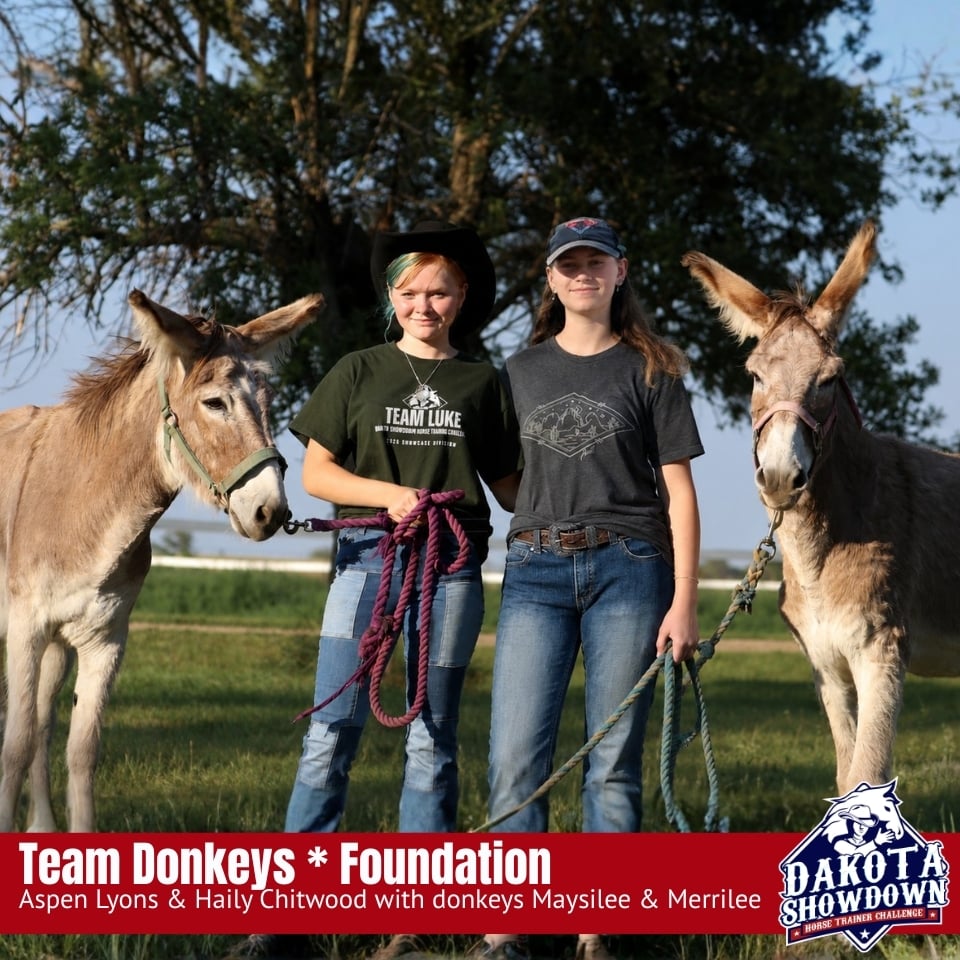 Donkeys 2026 Showdown Thumbnail