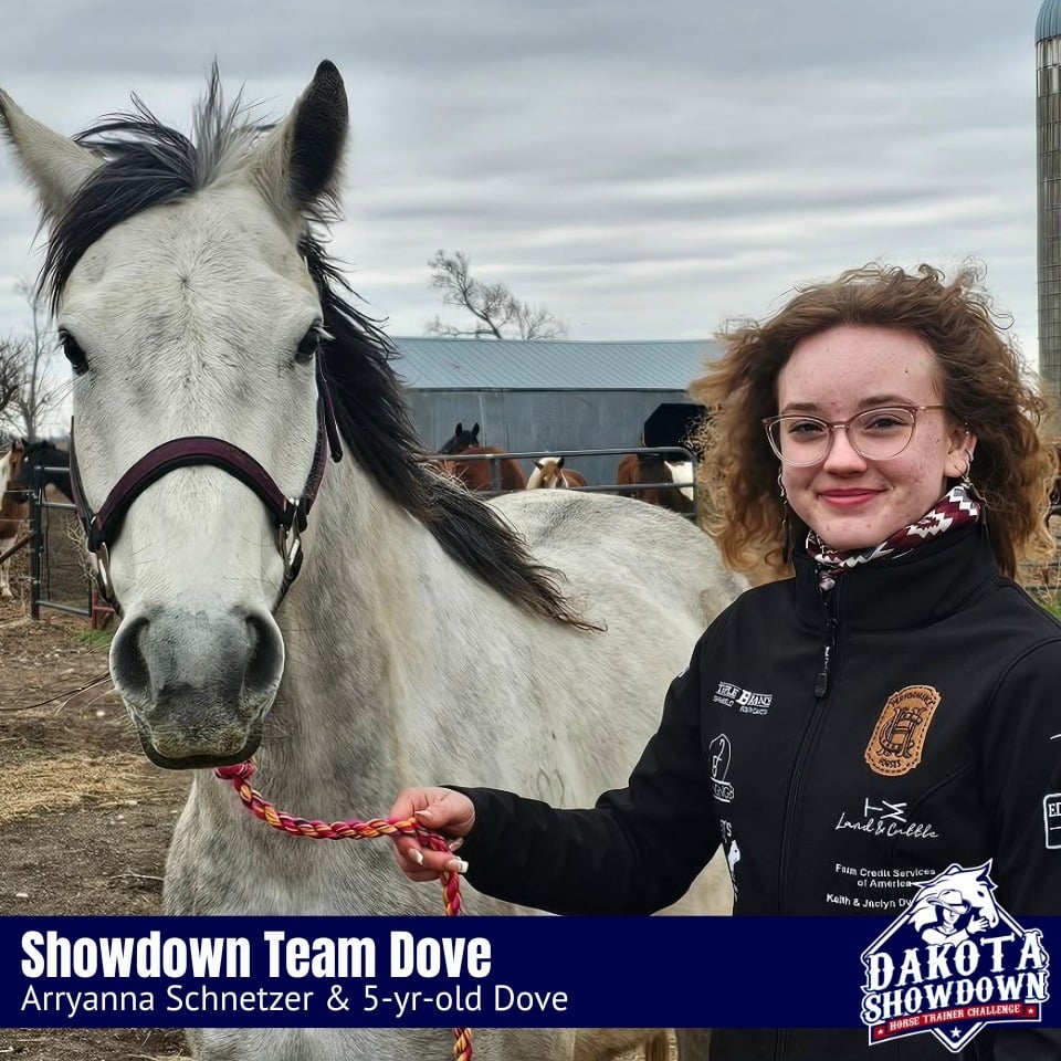 Dove - 2026 Showdown Thumbnail (1)