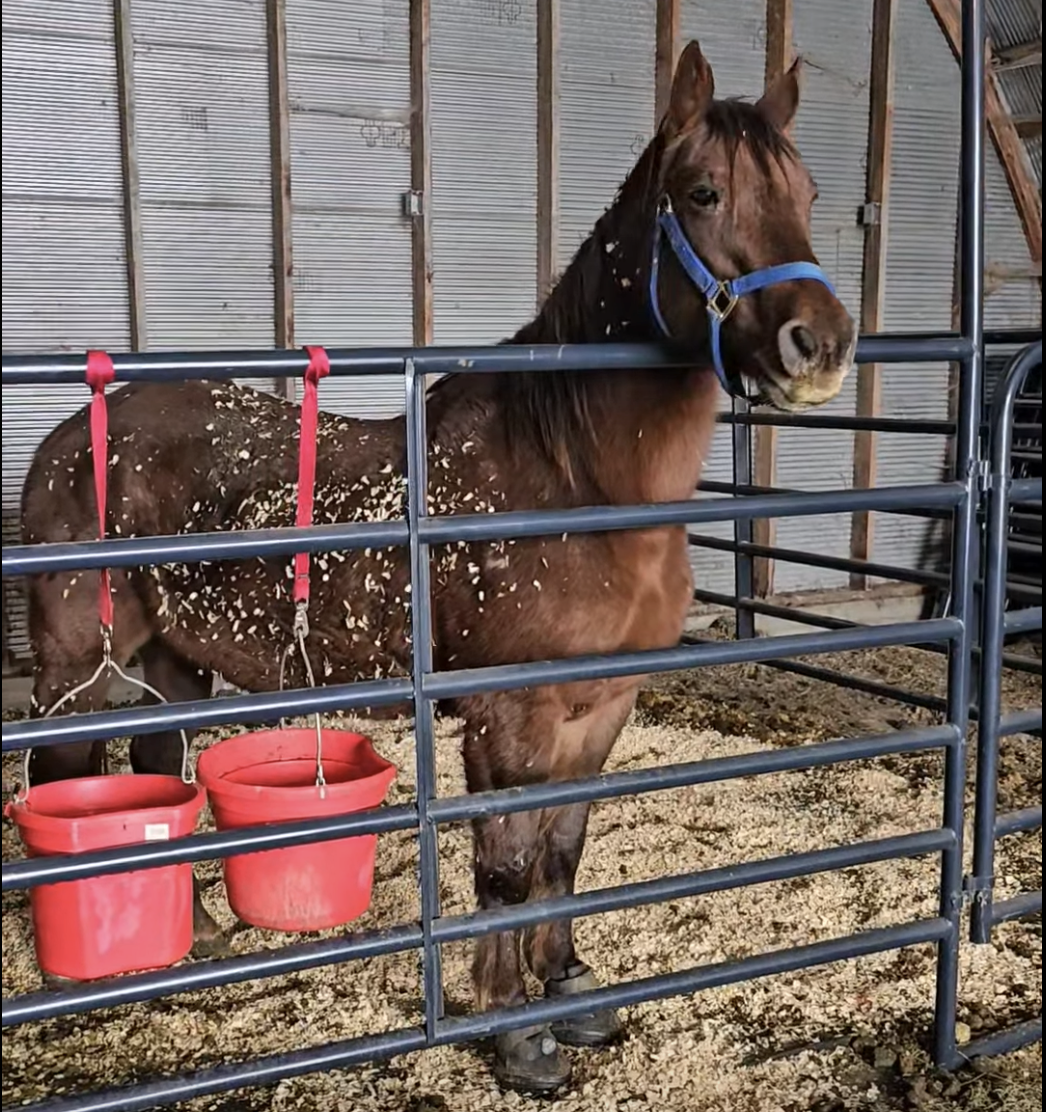 Screenshot 2026-01-24 at 5.09.15 PM