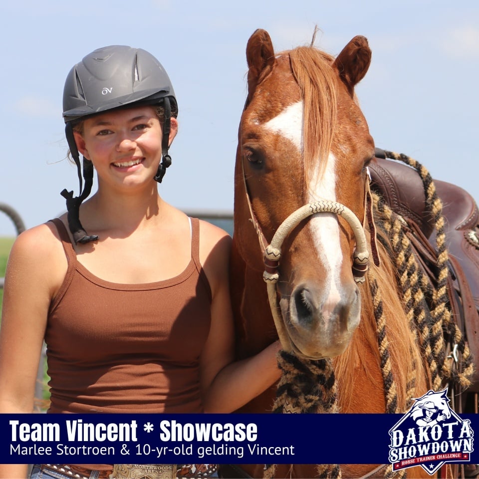Vincent 2026 Showdown Thumbnail (1)