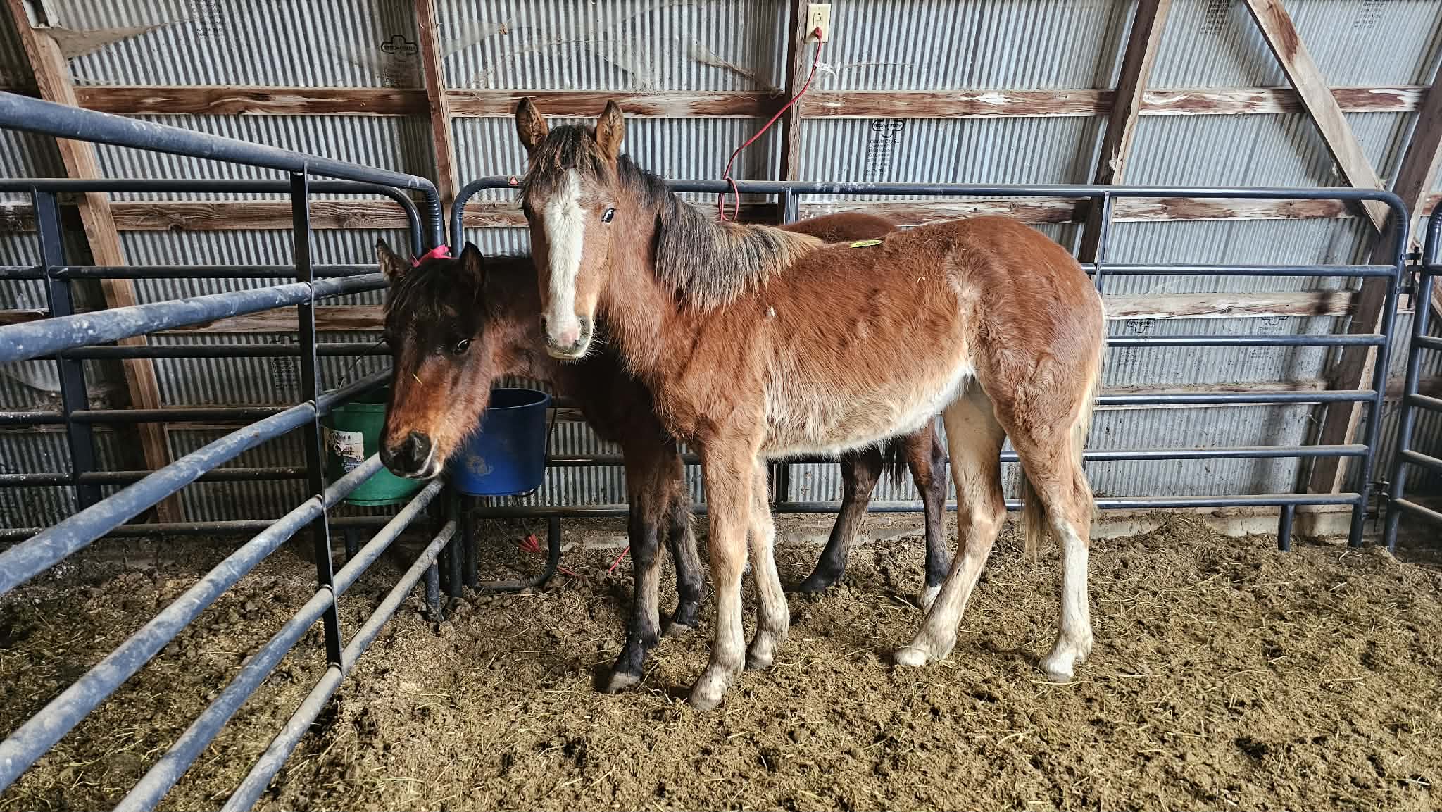 bba2b848-fc34-4eb0-b9ab-153d10b03fc5